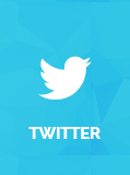Twitter Social Logo for ThemeLooks